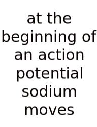 At The Beginning Of An Action Potential Sodium Moves