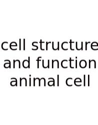 Cell Structure And Function Animal Cell