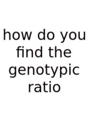 How Do You Find The Genotypic Ratio