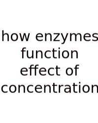 How Enzymes Function Effect Of Concentration