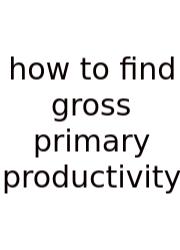 How To Find Gross Primary Productivity