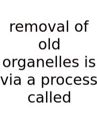 Removal Of Old Organelles Is Via A Process Called