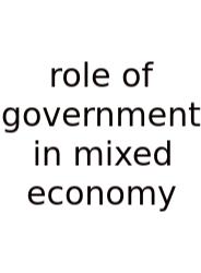 Role Of Government In Mixed Economy