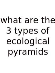What Are The 3 Types Of Ecological Pyramids