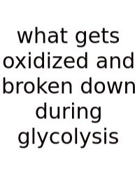 What Gets Oxidized And Broken Down During Glycolysis