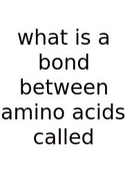 What Is A Bond Between Amino Acids Called