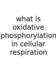 What Is Oxidative Phosphorylation In Cellular Respiration