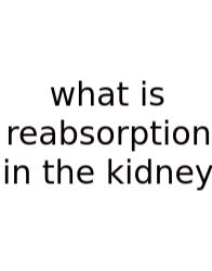 What Is Reabsorption In The Kidney