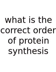 What Is The Correct Order Of Protein Synthesis