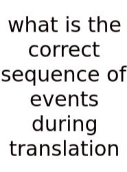 What Is The Correct Sequence Of Events During Translation