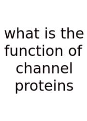 What Is The Function Of Channel Proteins