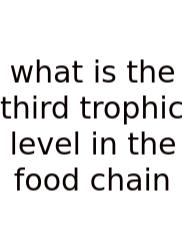 What Is The Third Trophic Level In The Food Chain