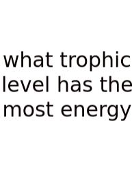 What Trophic Level Has The Most Energy