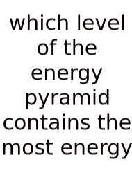 Which Level Of The Energy Pyramid Contains The Most Energy