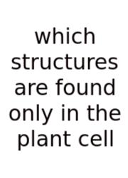 Which Structures Are Found Only In The Plant Cell