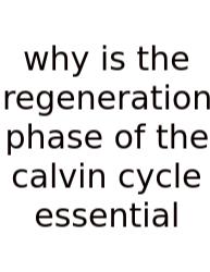 Why Is The Regeneration Phase Of The Calvin Cycle Essential