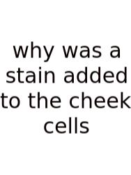 Why Was A Stain Added To The Cheek Cells